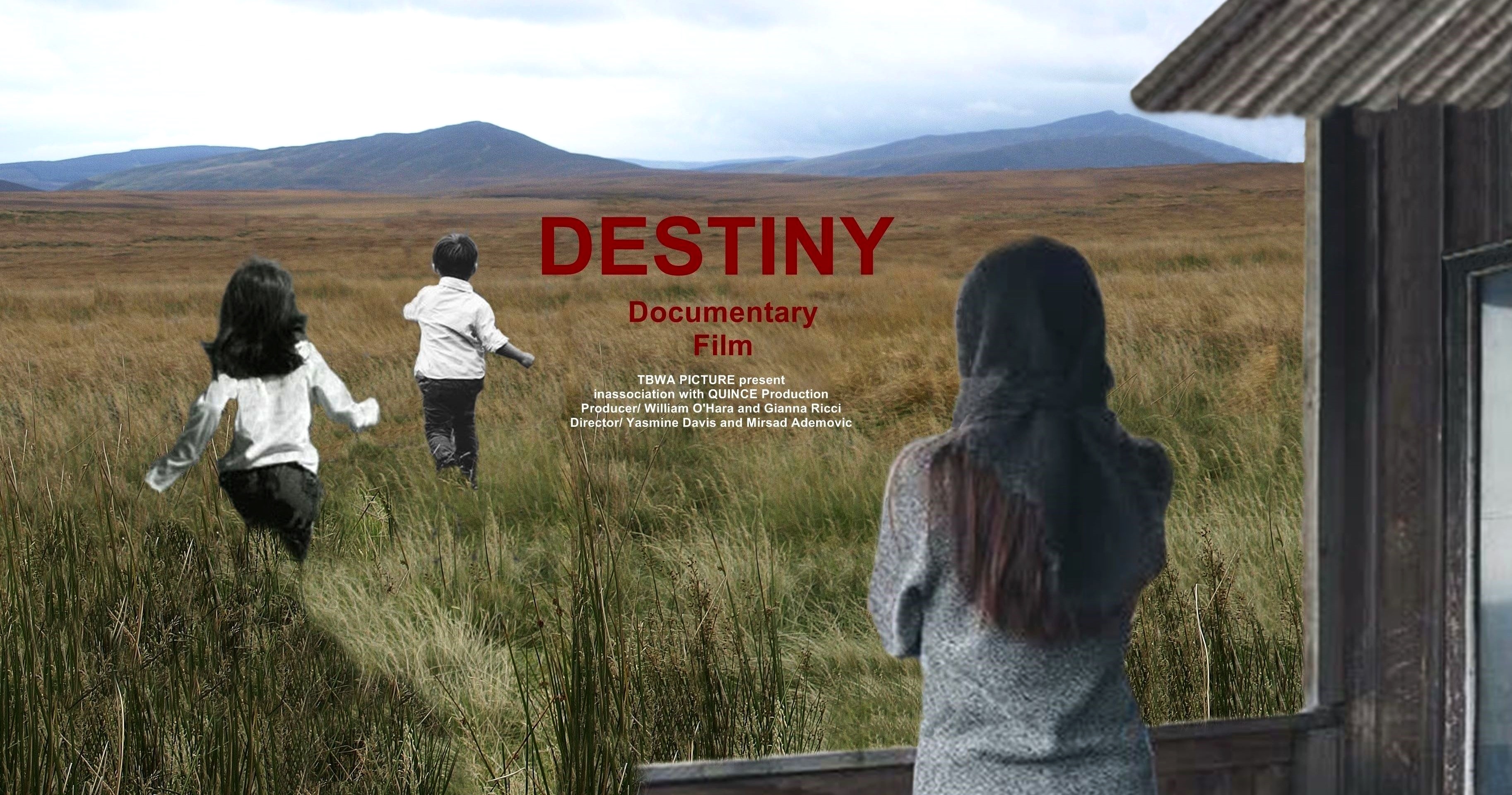 Read more about the article Destiny